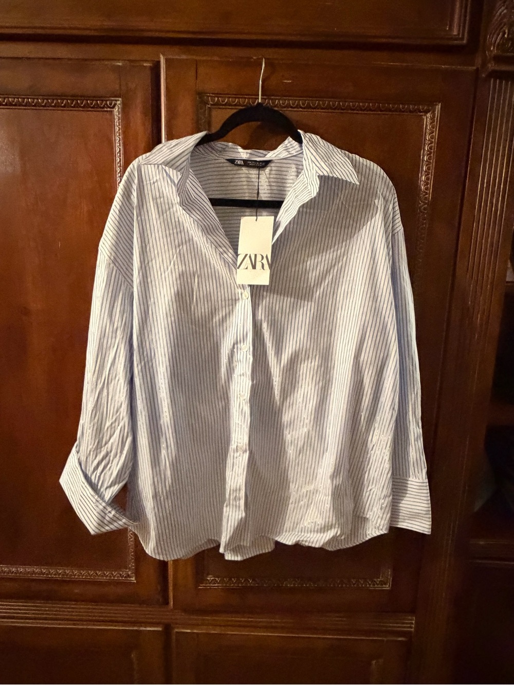 Zara women’s Blue and White Striped Button-Down Shirt